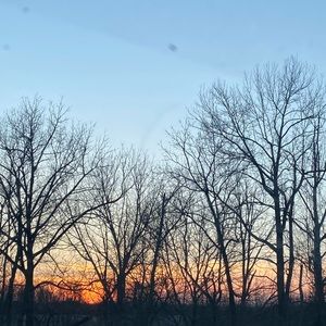 Meet your Posher, Corinne